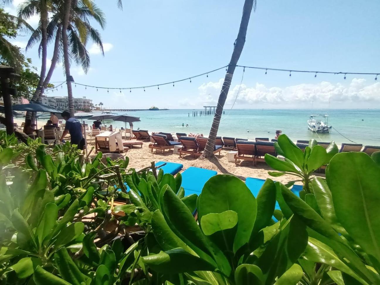 El Taj Oceanfront And Beachside Condo Hotel Playa del Carmen Exterior foto